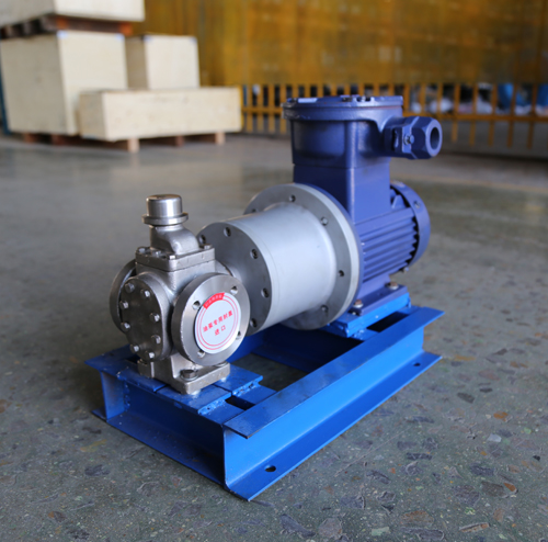 圓弧齒輪泵YCB10-1.6整機(jī)、配磁力聯(lián)軸器.JPG